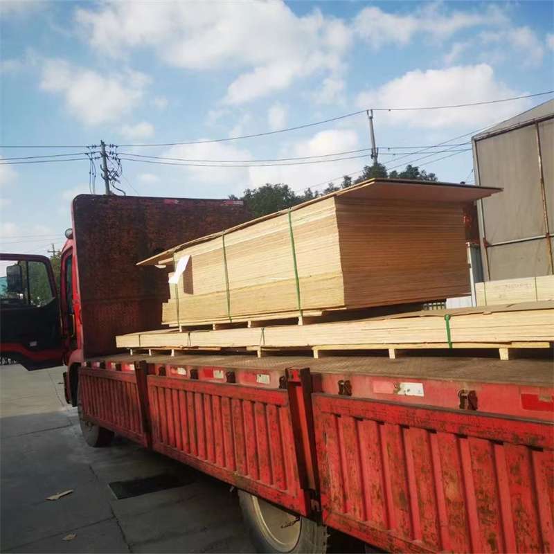 黑龙江伊春铁力至塔城货运专线，一站式物流服务助您成功